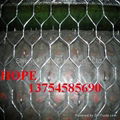 galvanized and pvc Hexagonal wire mesh