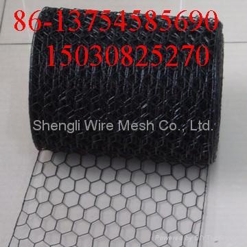 galvanized and pvc Hexagonal wire mesh 4