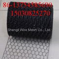 galvanized and pvc Hexagonal wire mesh 4