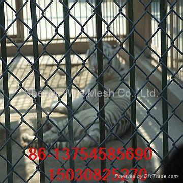 galvanized and pvc chain link fence