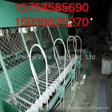 galvanized and pvc chain link fence 4