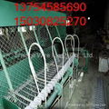 galvanized and pvc chain link fence