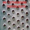 Perforated Metal Sheet (0.2 to 10mm) 4