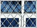 galvanized and pvc Guarding mesh