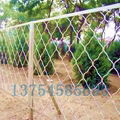 galvanized and pvc Guarding mesh