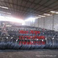 galvanized stainless pvc wire（0.15 to 5.0mm) 4