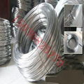 galvanized stainless pvc wire（0.15 to 5.0mm) 2