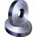 Stainless Steel Strip