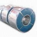Hot Dipped Galvanized Steel Coil 1