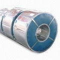 Hot Dipped Galvanized Steel Coil