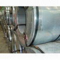 Hot Dipped Galvanized Steel Coil 4