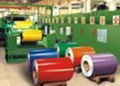 Painted Galvanized Steel Coil