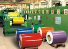 Painted Galvanized Steel Coil