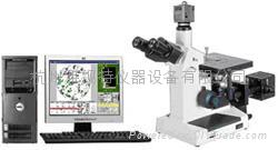 倒置金相圖像分析系統