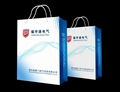 广州企业宣传展会纸袋印刷 2