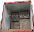 Container desiccant
