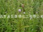 小花柳葉菜提取物