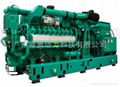 Cummins Gas Generator Set 1