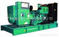 Cummins Power Diesel Generator Set 1