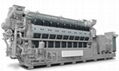 MAN Liquid Biofuel Generator sets 2