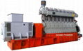 Biomass gas generator sets (200-1000kW)