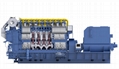 現代雙燃料發電機組(2.7MW