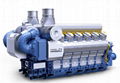 Hyundai Dual Fuel Generator Sets (2.7 MW-21 MW) 