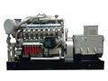 Jichai Gas Generator Sets (0.3 MW～4.0 MW) 2