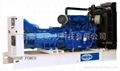 FG Wilson Diesel Generator Sets 1