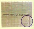 reed screen