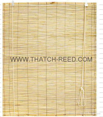 reed screen 3