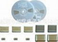 Chip Capacitors01005