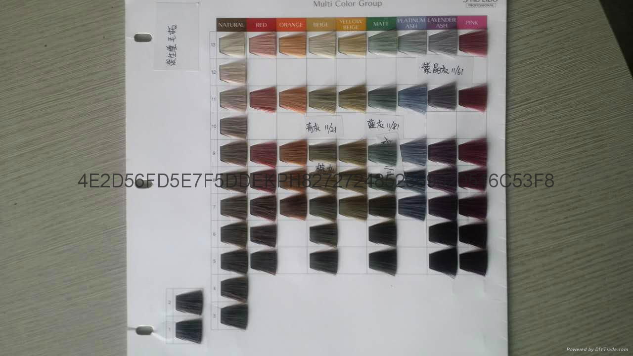 hair colour display book OEM