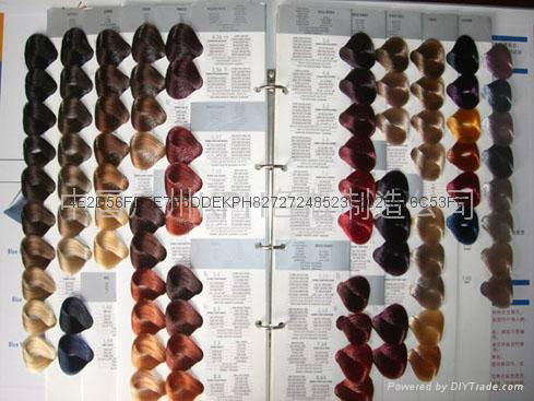 hair colour display book