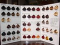 hair colour display book