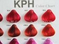 WIG colour chart OEN CHINA 3