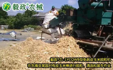 毅政ZL1YCQWB柴油机牵引拖车式带独立清选机的免剥皮玉米脱粒机 5