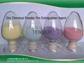 Dry powder chemical fire extinguish