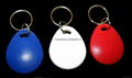 RFID RXK03 Key Fob 15