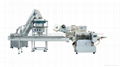 Auto disposable syringe horizontal pillow packing machine