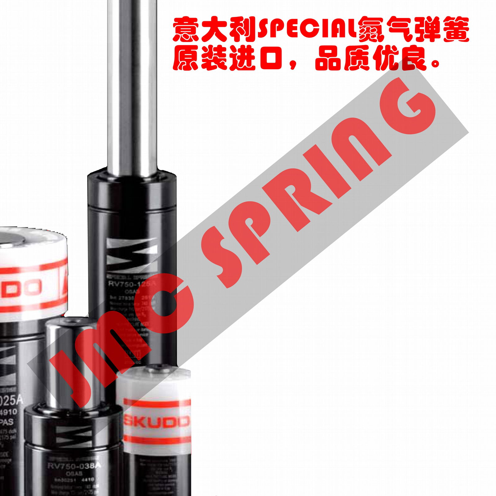 原装正品意大利SPECIAL SPRINGS氮气弹簧 2