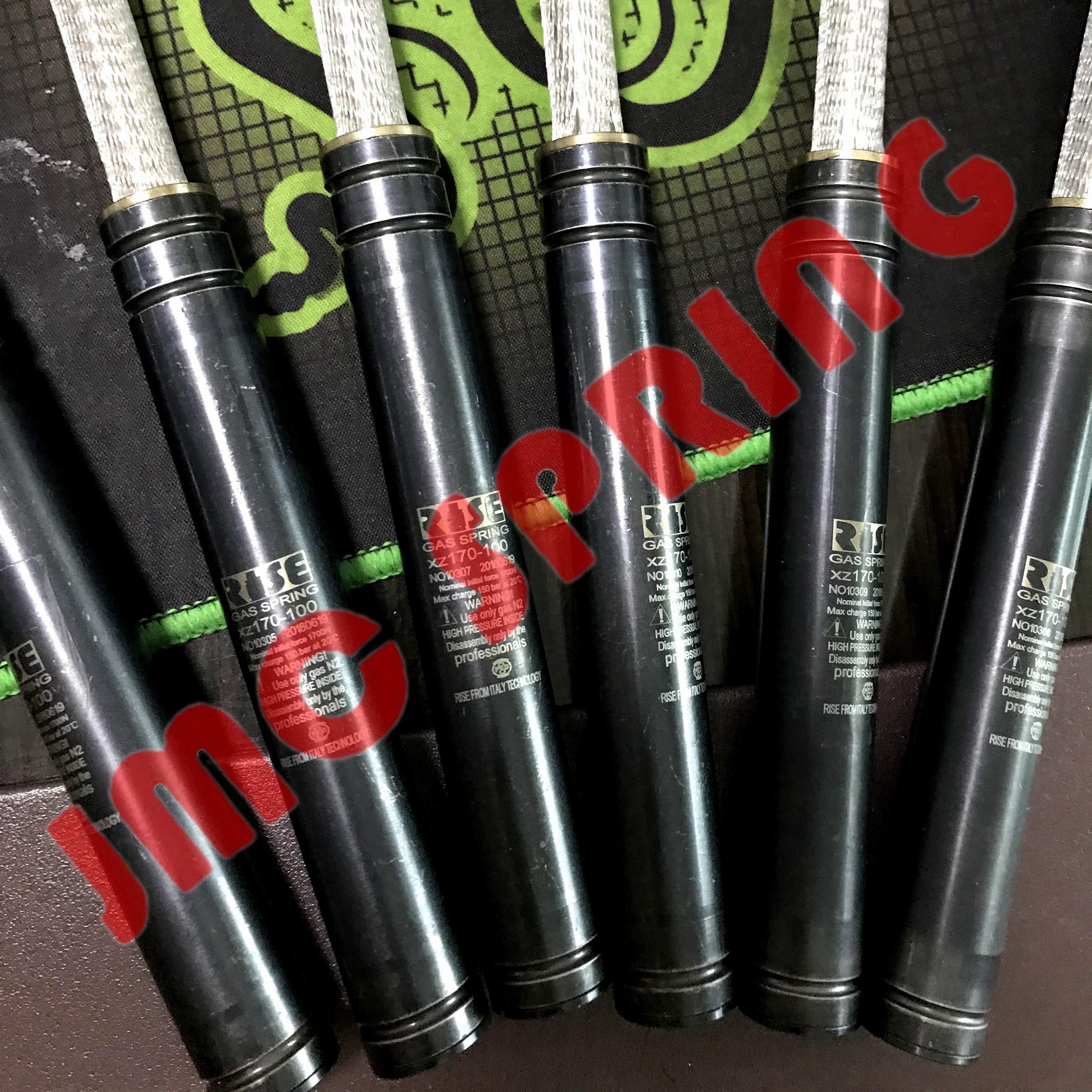 意大利RISE雷瑟尔氮气弹簧 4
