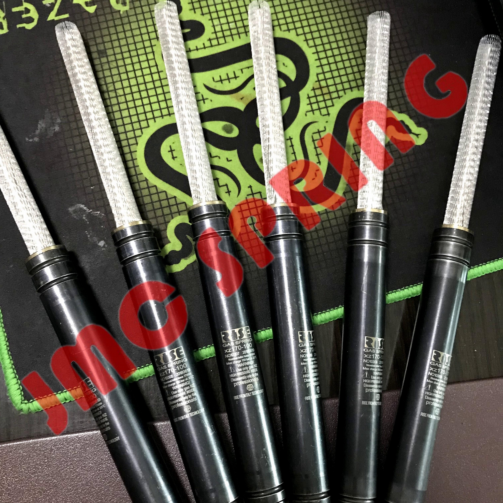 意大利RISE雷瑟尔氮气弹簧 5