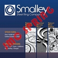 SMALLEY wave spring 1