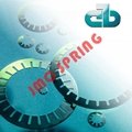 BAUER disc spring 4