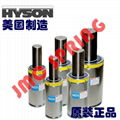 美国HYSON氮气弹簧 2