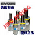 HYSON nitrogen springs 2