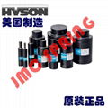 HYSON nitrogen springs 3