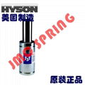 HYSON nitrogen springs 4