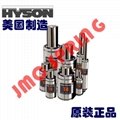 HYSON nitrogen springs 5